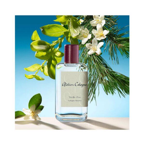 Berdoues 1902 Vetiver Perfume by Berdoues for unisex UAE