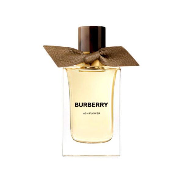 Burberrys for Men (1981) Perfume by Burberry for Men UAE