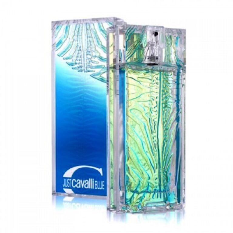 Roberto Cavalli Just Cavalli Blue Perfume by Roberto Cavalli for Men UAE