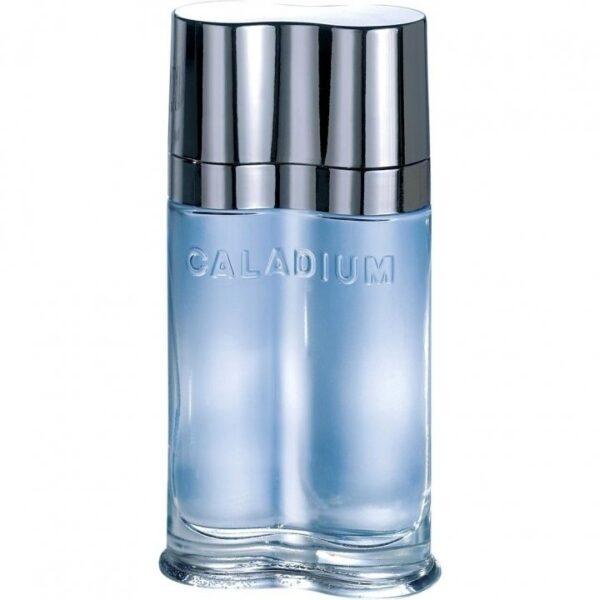 Yves De Sistelle Caladium Perfume