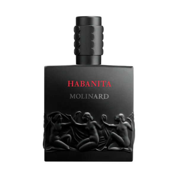 Carner Barcelona D600 Perfume by Carner Barcelona for unisex UAE