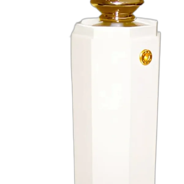 Jivago 7 Notes for women Perfume by Jivago for female UAE