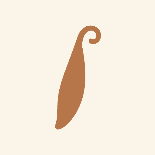Black Vanilla Husk