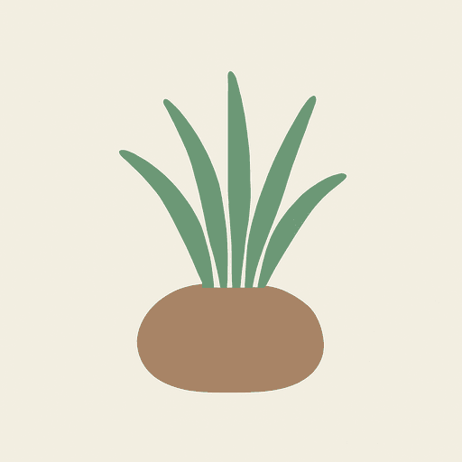 Haitian Vetiver