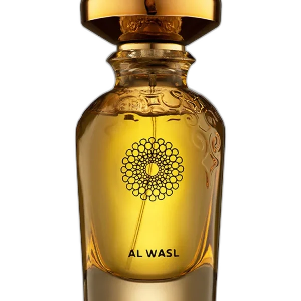 Widian Aswan Perfume by Widian for unisex UAE