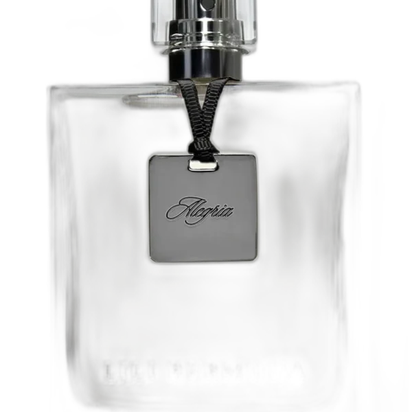 Navy for men Perfume by Lili Bermuda for male UAE