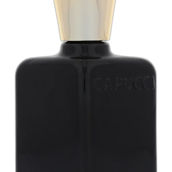Corps Fou for men Perfume by Roberto Capucci for male UAE