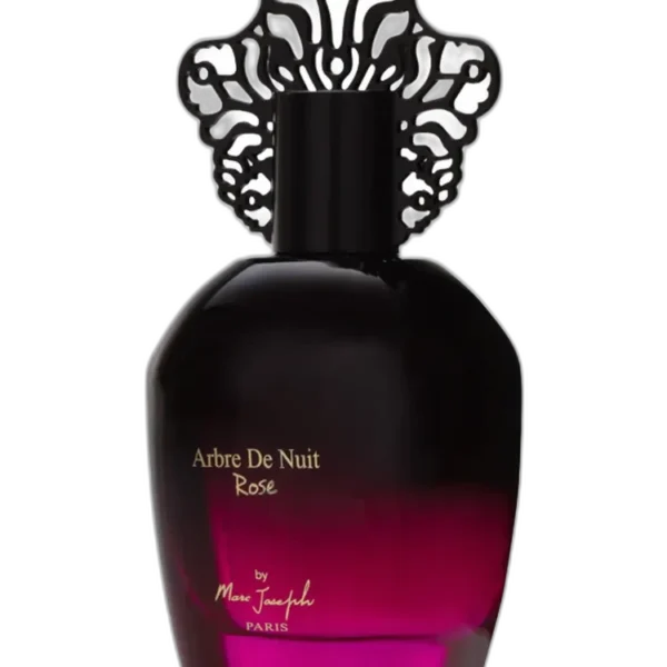 Christina Aguilera Violet Noir Perfume by Christina Aguilera for female UAE