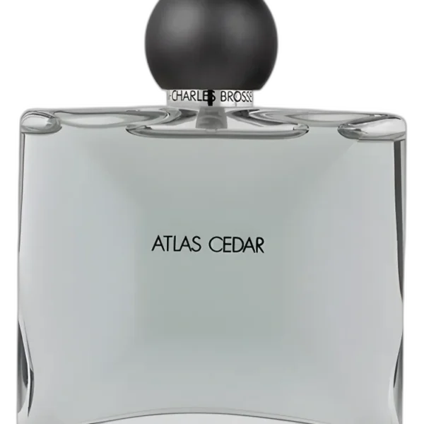 Atlas Cedar for men perfume