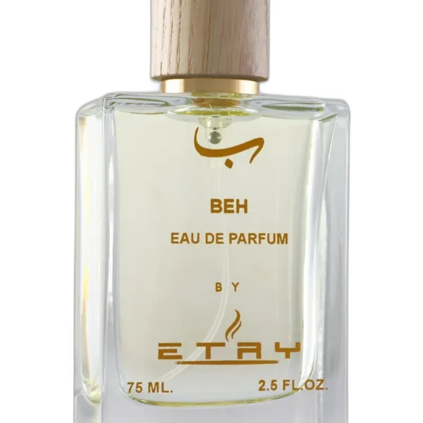 Ain unisex Perfume by Etry for unisex UAE