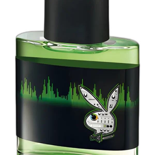 Playboy VIP for Her for women Perfume by Playboy for female UAE