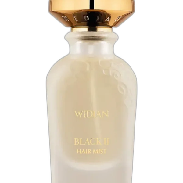 Widian Aswan Perfume by Widian for unisex UAE