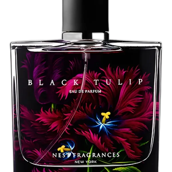 Indigo Perfume by Nest for Unisex UAE