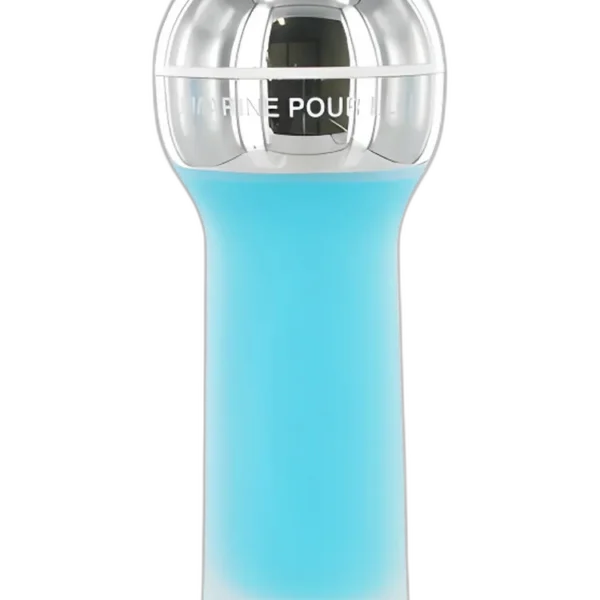 Pierre Cardin Bleu Marine Pour Lui Perfume by Pierre Cardin for male UAE