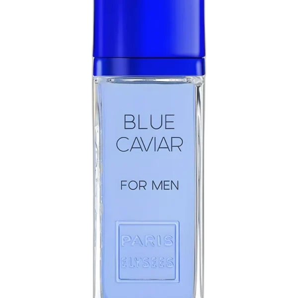 Billion Dollar Blue Jack for men Perfume by Paris Elysees for male UAE