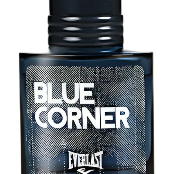 Choice Of Champions Street Fighter Shoryuken for men Perfume by Everlast for male UAE