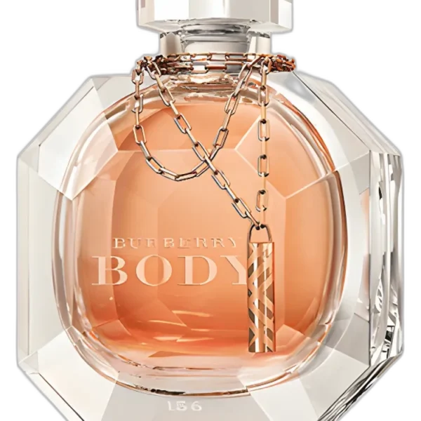 Burberrys for Men (1981) Perfume by Burberry for Men UAE