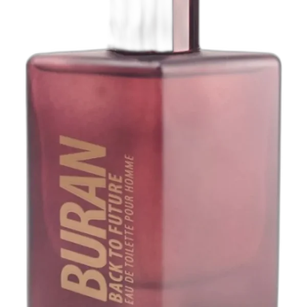 Aramise Floral Perfume by Parli Parfum for Women UAE