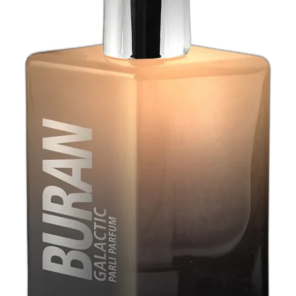 Aramise Floral Perfume by Parli Parfum for Women UAE