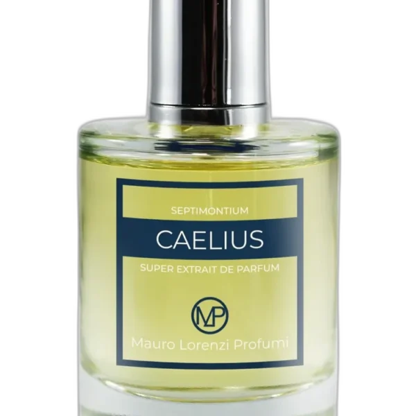 Quirinalis Mauro Lorenzi Profumi Perfume by Mauro Lorenzi Profumi for Unisex UAE