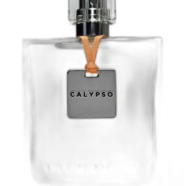 Navy for men Perfume by Lili Bermuda for male UAE