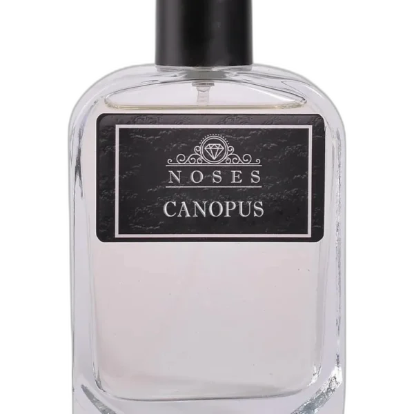 Vrose unisex Perfume by Noses for unisex UAE