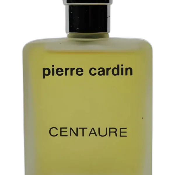Pierre Cardin Bleu Marine Pour Lui Perfume by Pierre Cardin for male UAE