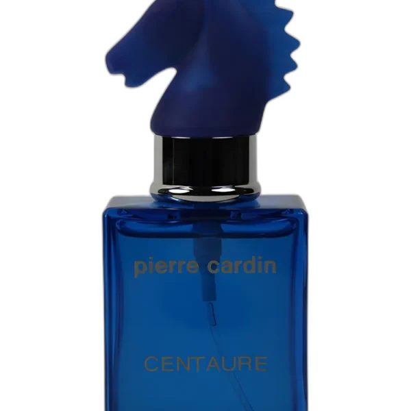 Pierre Cardin Bleu Marine Pour Lui Perfume by Pierre Cardin for male UAE