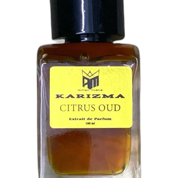 Positive Energy for men Perfume by Ahmed Mahsoub KARIZMA for male UAE