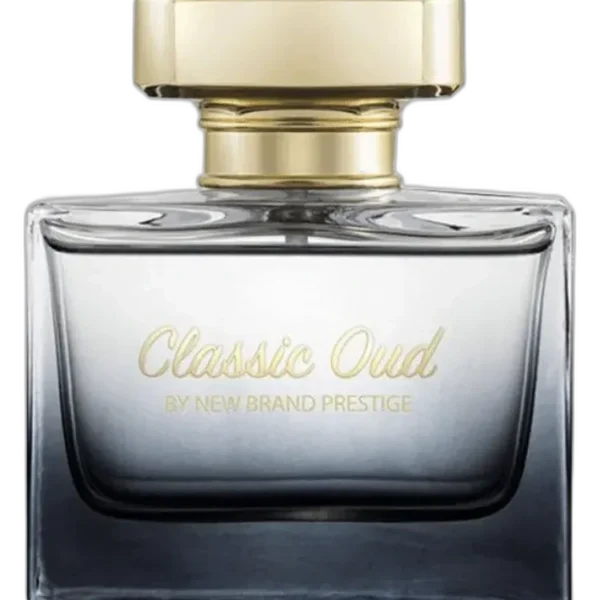 Chic 'n Glam Elixir for women Perfume by New Brand Parfums for female UAE