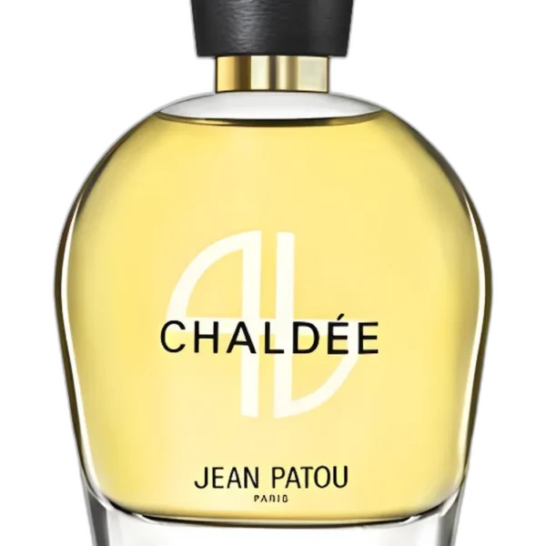 Joy Forever Eau de Toilette for women Perfume by Jean Patou UAE
