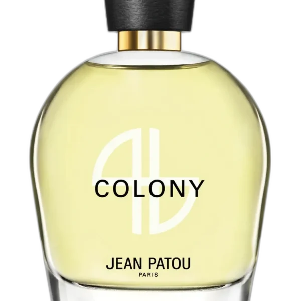 Joy Forever Eau de Toilette for women Perfume by Jean Patou UAE