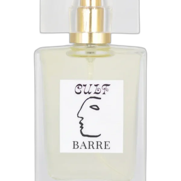 Salty Rose unisex Perfume by BARRE for unisex UAE