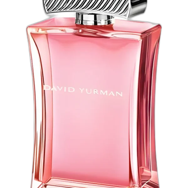 Burberry Brit Sheer Perfume by Burberry for female UAE