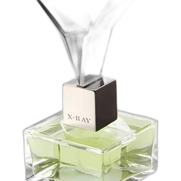 Morphine unisex Perfume by X-Ray UAE