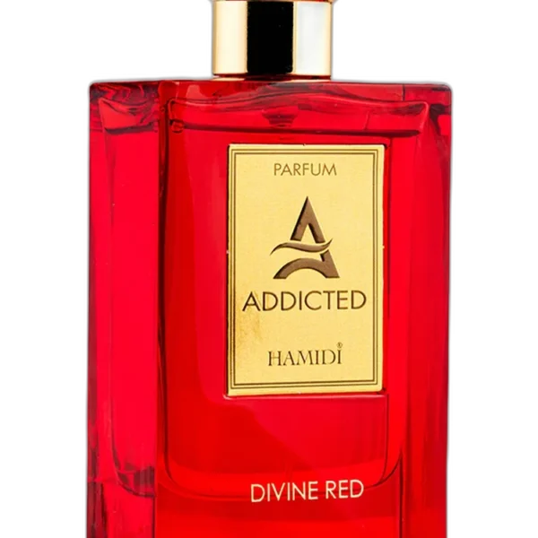 Celestial Wood Perfume by Hamidi for unisex UAE
