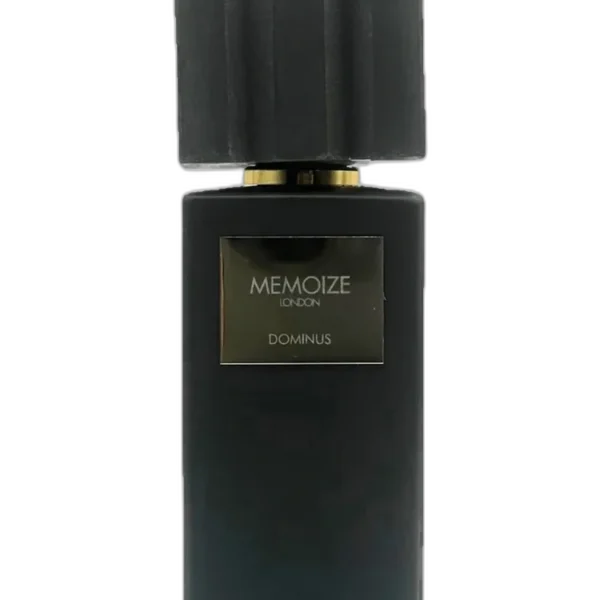 Enigma unisex Perfume by Memoize London for unisex UAE