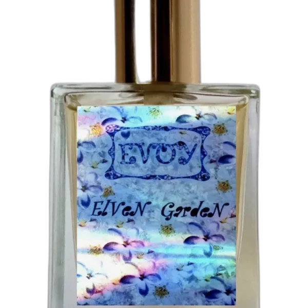 Open Mind unisex Perfume by EVOY for unisex UAE