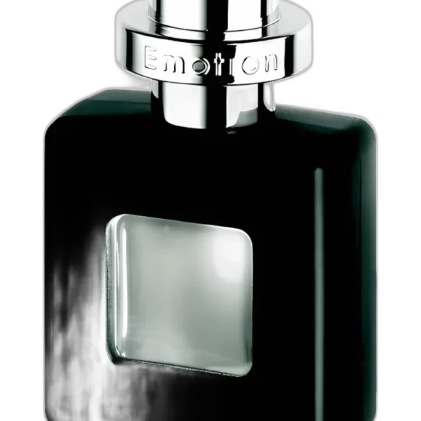 Pierre Cardin Bleu Marine Pour Lui Perfume by Pierre Cardin for male UAE