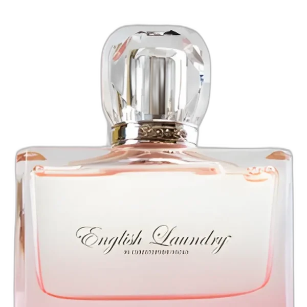 Britney Spears Fantasy Perfume by Britney Spears for female UAE