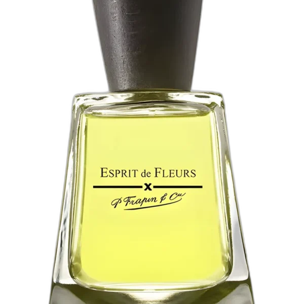 Frapin 1270 Perfume by Frapin for unisex UAE