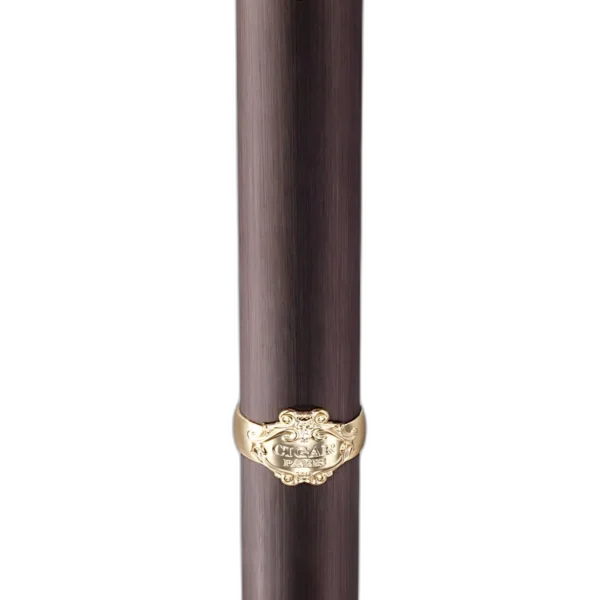 Cigar Essence De Bois Precieux Remy Latour for men Perfume by Remy Latour for male UAE