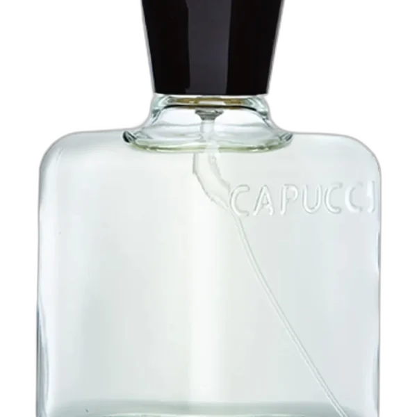 Corps Fou for men Perfume by Roberto Capucci for male UAE