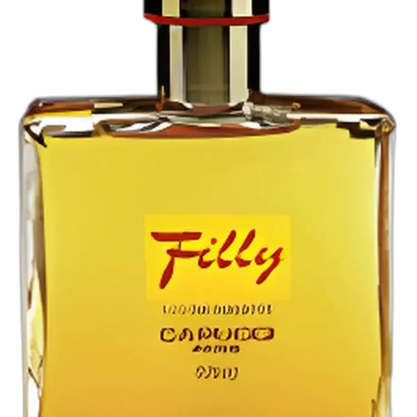 Corps Fou for men Perfume by Roberto Capucci for male UAE