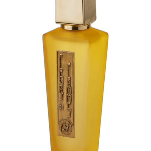 Nuit Rouge unisex Perfume by Antonio Alessandria for unisex UAE