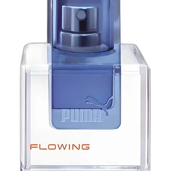 Jamaica 2 Woman for women Perfume by Puma for female UAE