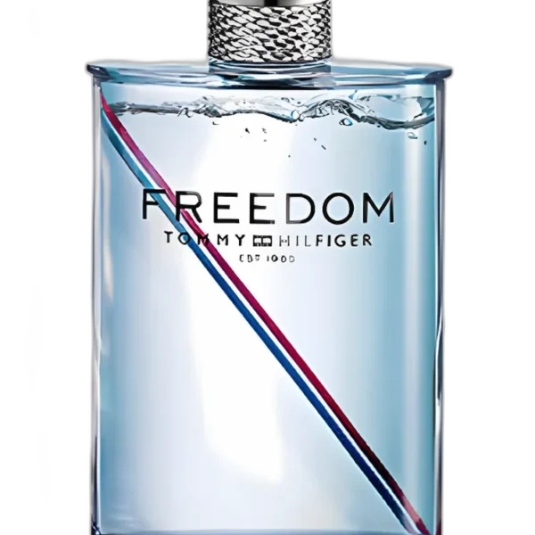 Tommy Vibrant Summer for men Perfume by Tommy Hilfiger for male UAE