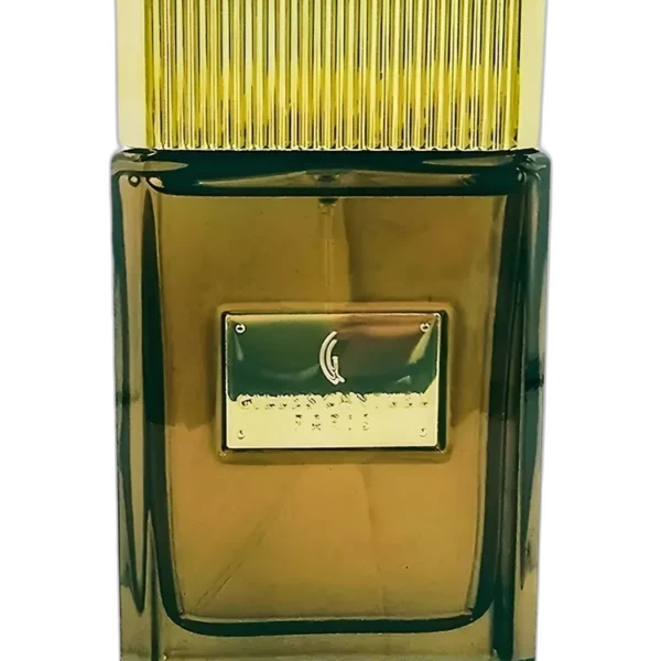 Gilles Cantuel Leather Eau de Parfum for men Perfume