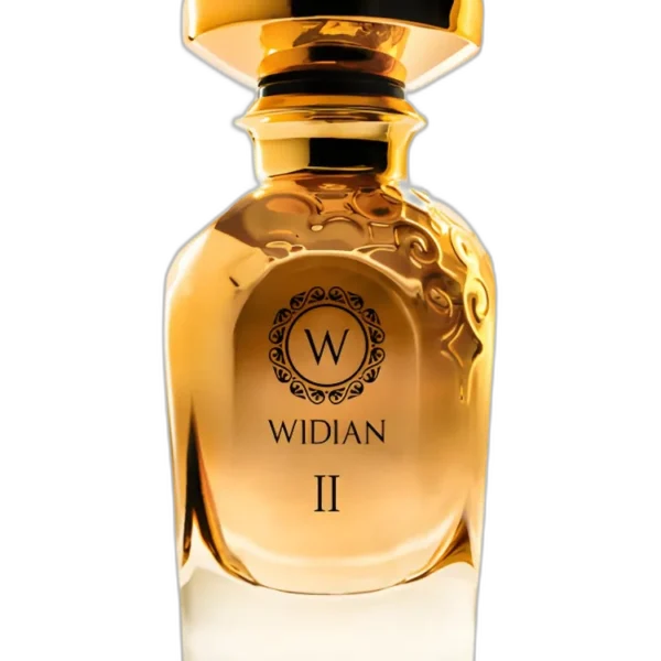 Widian Aswan Perfume by Widian for unisex UAE