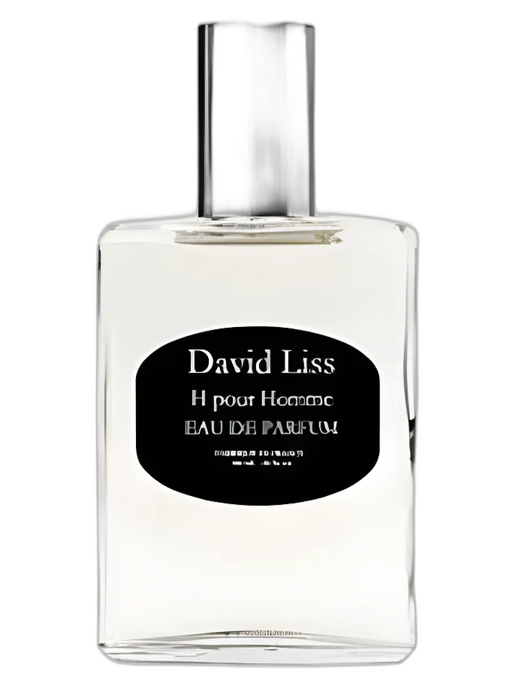 H pour Homme for men Perfume by David LISS Parfums for male UAE